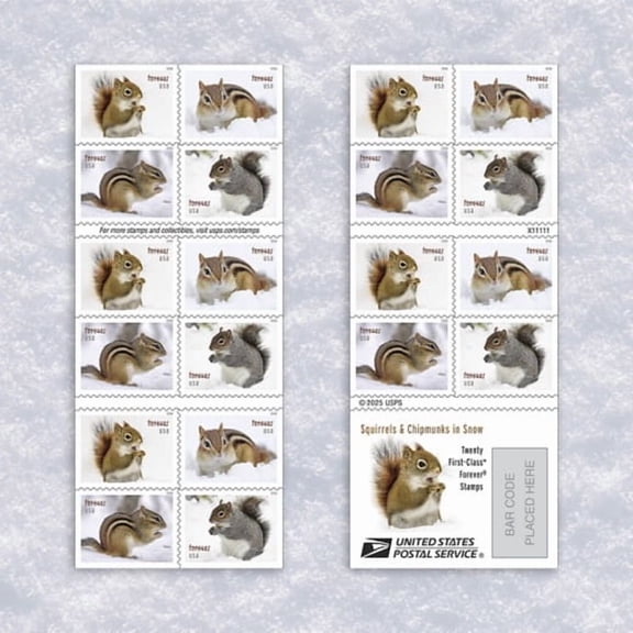 Squirrels & Chipmunks in Snow USPS Forever Postage Stamp 1 Book of 20 US First Class Holiday Wedding Celebration Anniversary Christmas Announcement (20 Stamps)