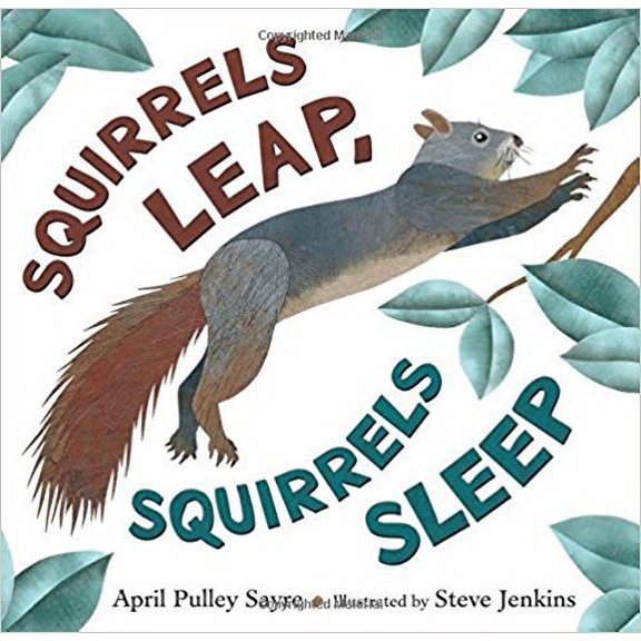 Pre-Owned Squirrels Leap, Squirrels Sleep (Paperback) 1338257072 9781338257076