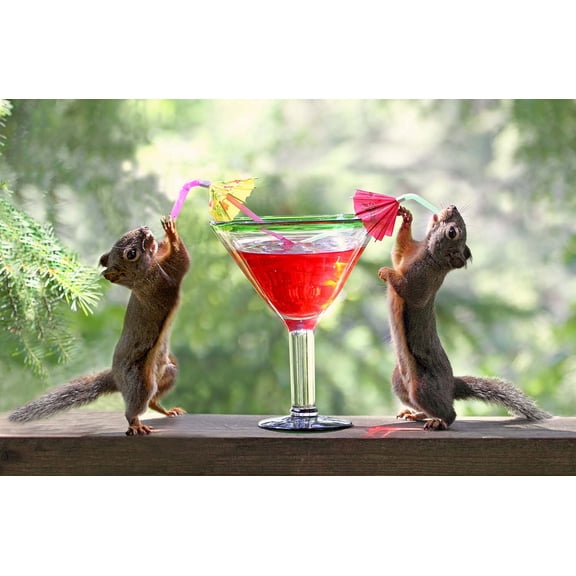 Squirrels at Cocktail Hour