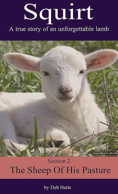 Squirt: A True Story of an Unforgettable Lamb, (Hardcover)