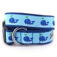 thumbnail image 1 of Squirt Collar, 1 of 1