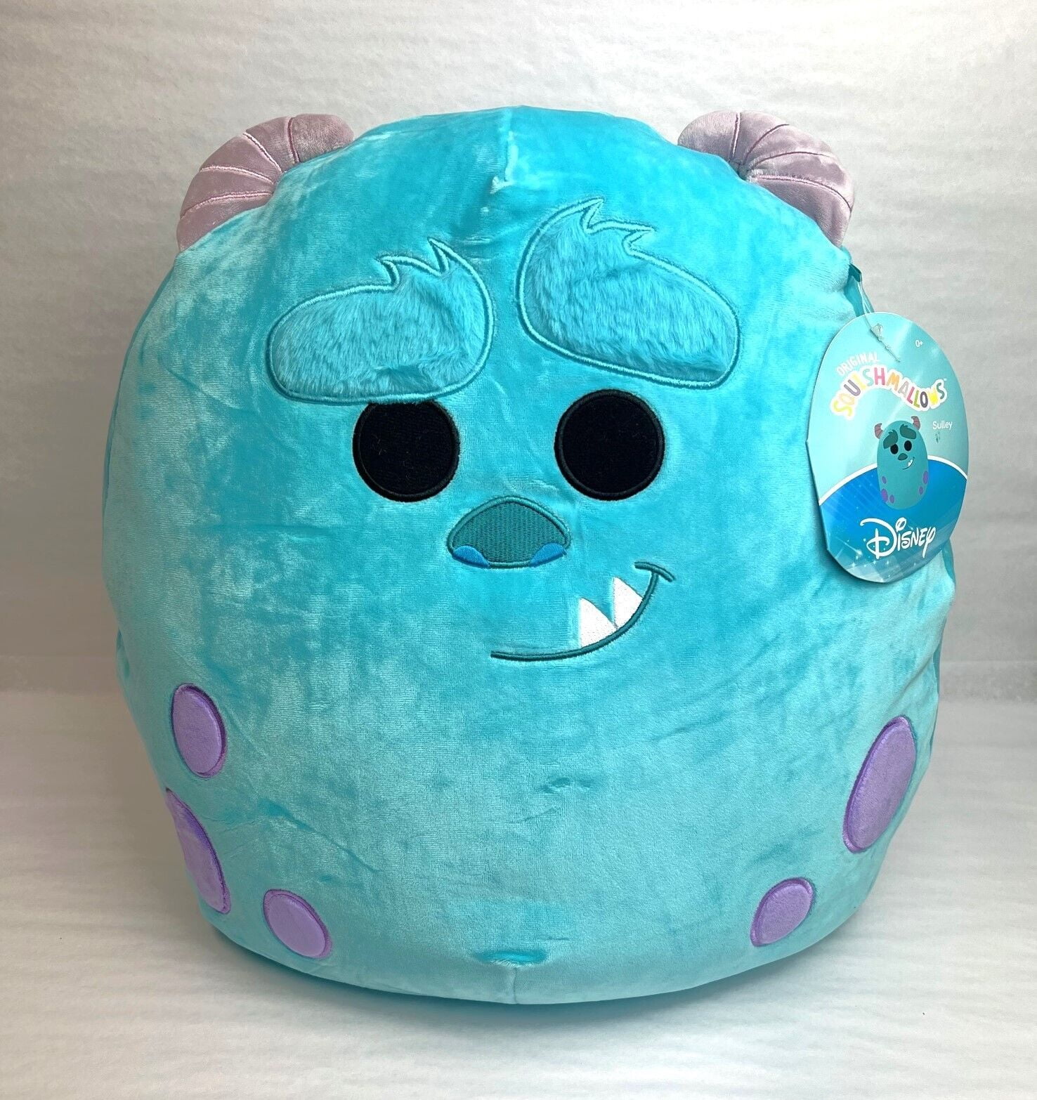 Sully Monsters Face