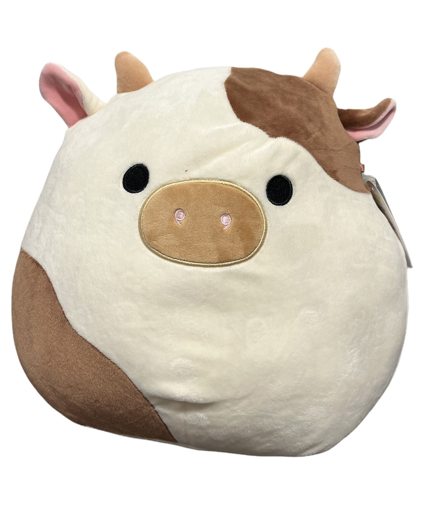 Squishmallows 12