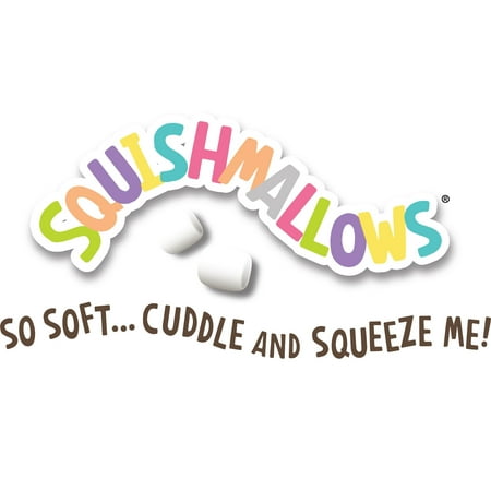 Squishmallows Official Kellytoy Plush 14" Rainbow Raccoon - Ultrasoft Stuffed Animal Plush Toy