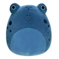 thumbnail image 1 of Squishmallows 5" Agnolo the Frog, 1 of 1