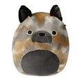 thumbnail image 1 of Squishmallows Ballis the Multi-Colored French Bulldog 7.5 Stuffed Plush, 1 of 4