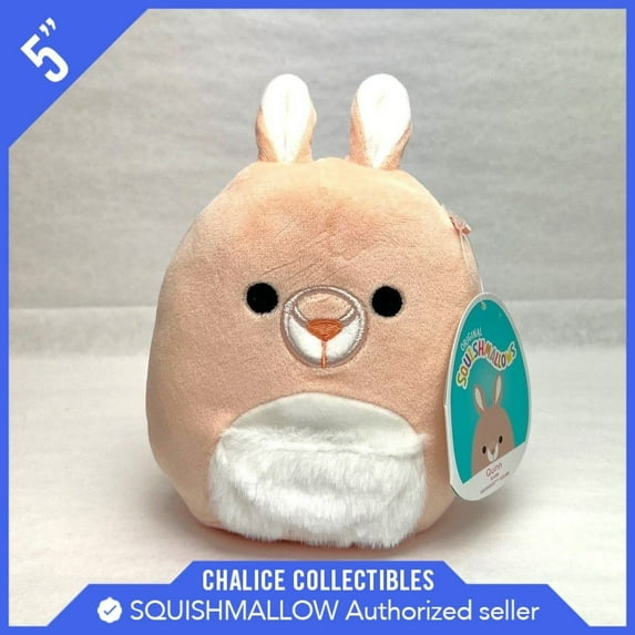 Squishmallows Kellytoy Plush Pet Shop Squad Quinn the Kangaroo 5"