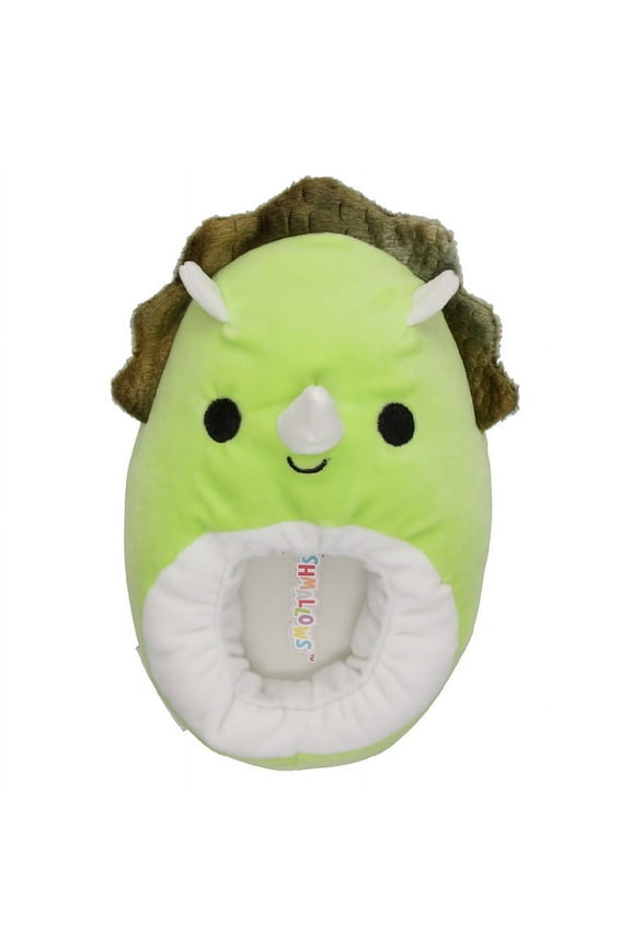 Kids Danny the Dinosaur Slippers Size 11/12