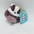 thumbnail image 1 of Squishmallows Mita 3.5" Badger Clip On Plush Stuffed Animal, 1 of 2