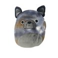 thumbnail image 1 of Squishmallows Official Kellytoys Plush 12 Inch Ballis the Black and Brown Bulldog Stuffed Toy, 1 of 6