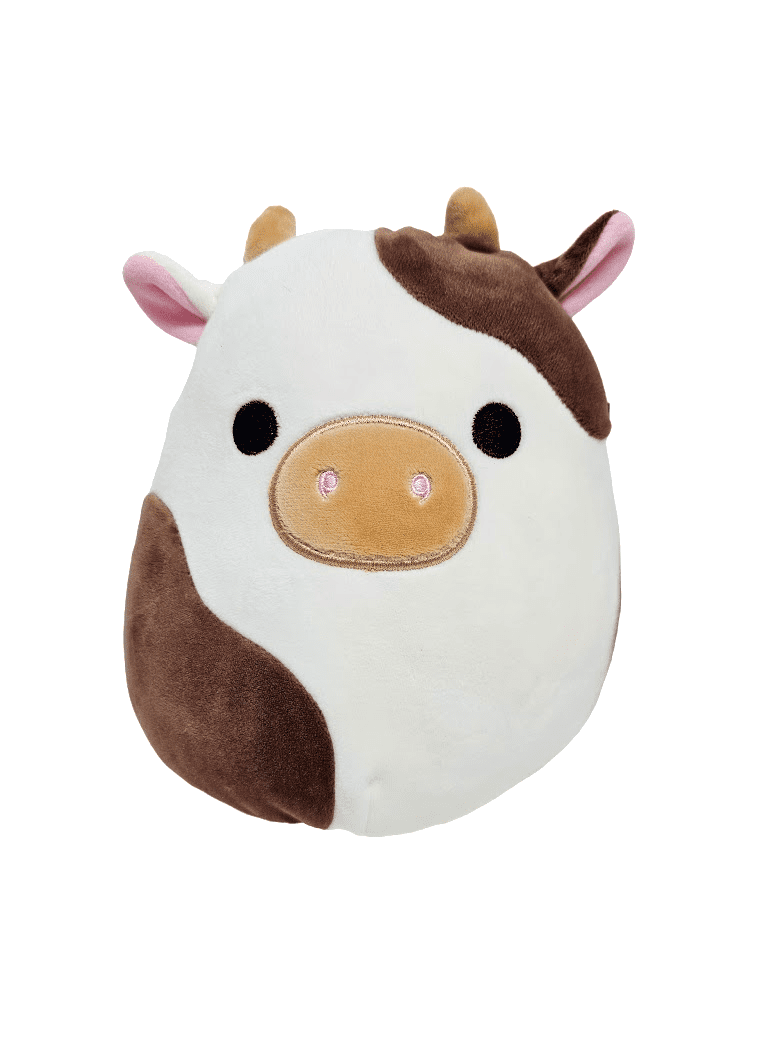 Ronnie squishmallow on sale