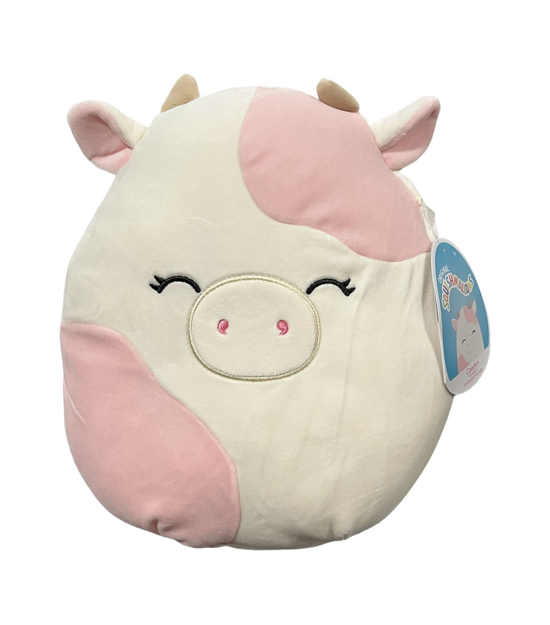 Caedyn Squishmallow Starbucks Cold Cup