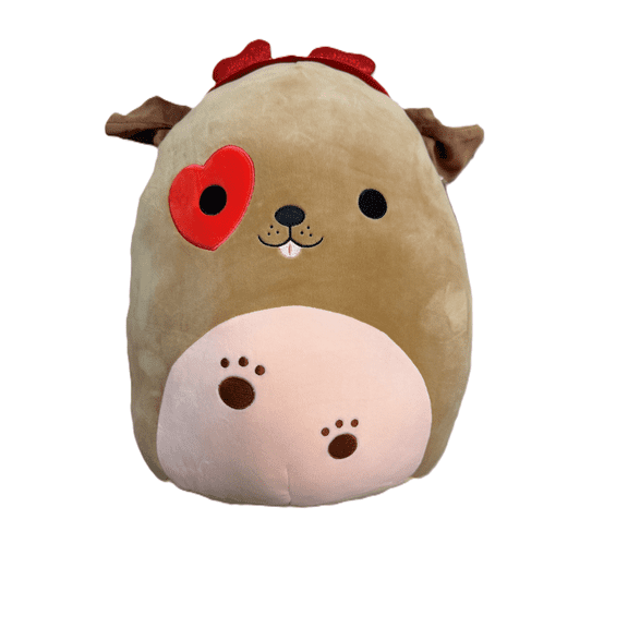 Squishmallows Original 14 Inch Doug The Dog with Hearts Valentines Day 2026 New