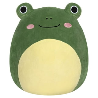 Squishmallow 8 Inch Micha the Frog I Got That Squad Plush Toy