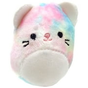 Squishmallows Rainbow Dream Squad Pastel Cat Mini Plush