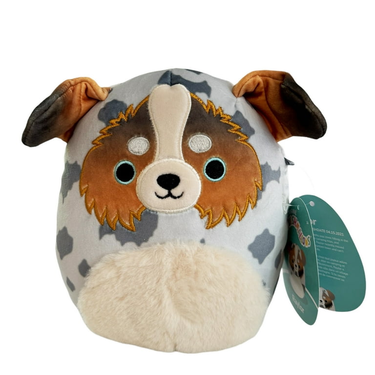 Squishmallows Raylor 7 Australian Shepherd Dog Blue Eyes Fuzzy Belly