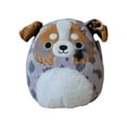 thumbnail image 1 of Squishmallows™ Raylor the the Australian Shepherd -pet squad 7.5in plush, 1 of 3
