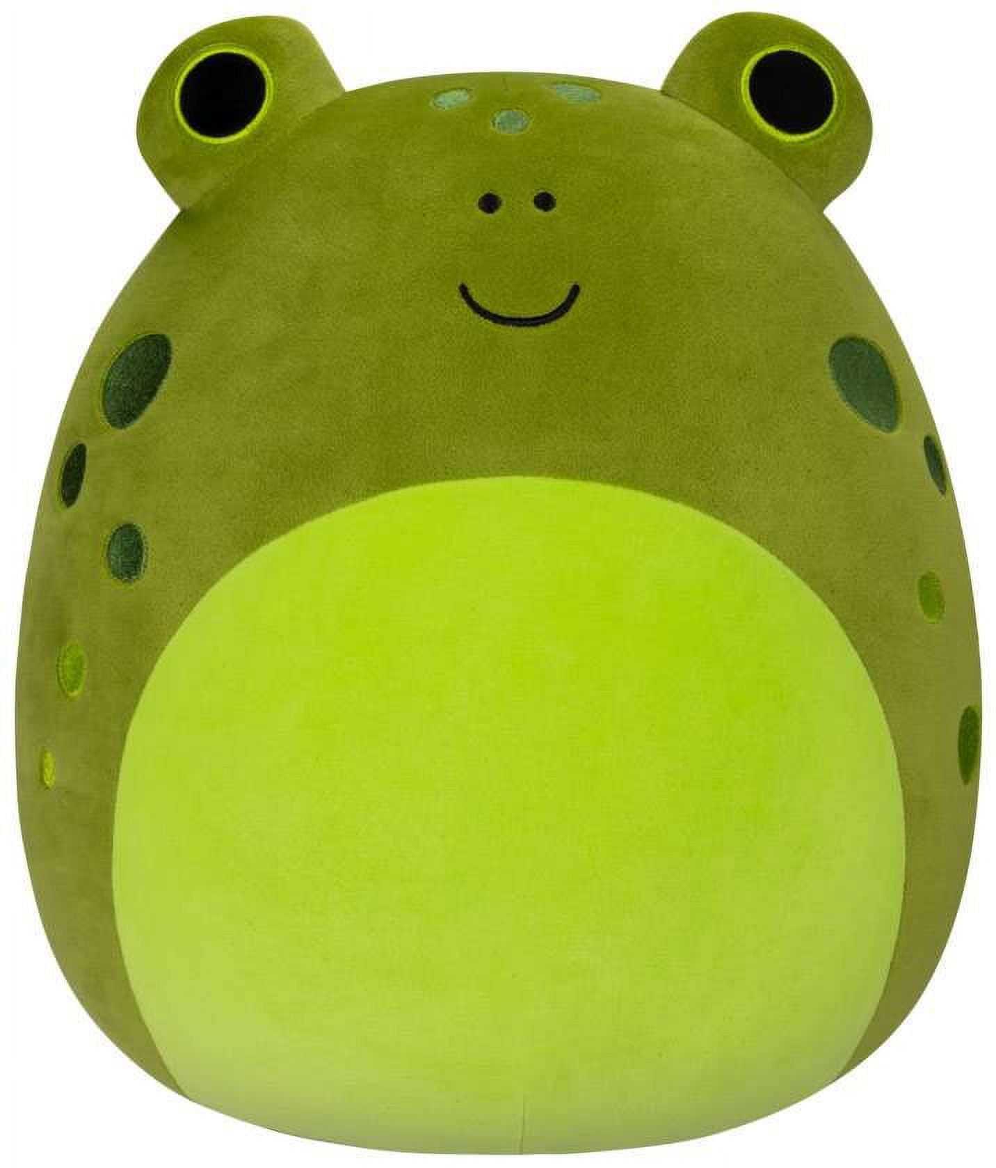 Squishmallows Select Series Vig the Frog Plush