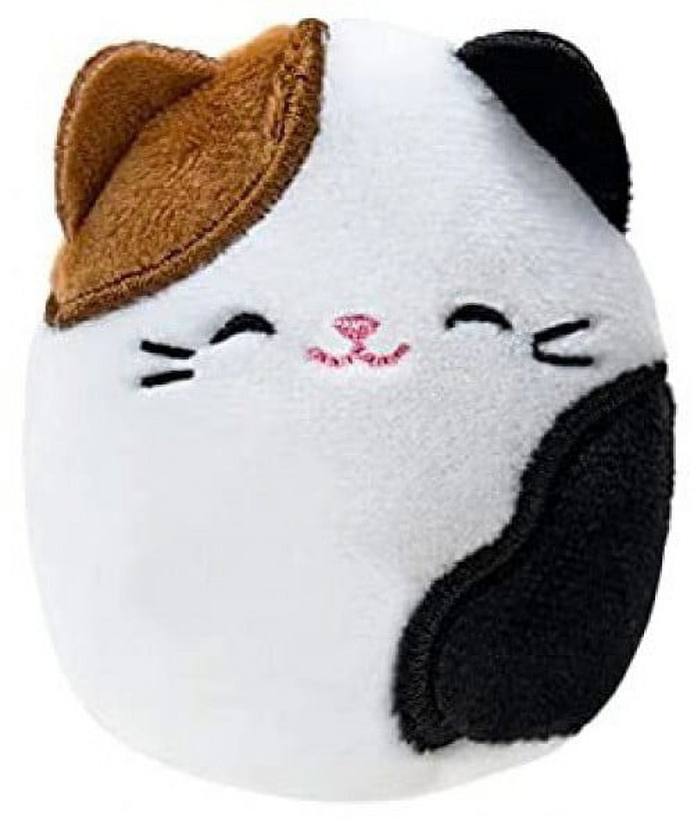 https://i5.walmartimages.com/seo/Squishmallows-Squishville-Cam-the-Cat-Mini-Plush_1caa4433-2cb3-402b-95ec-a22ff40aa7aa.d03af4bfcfa0633069d51adcda0f598f.jpeg