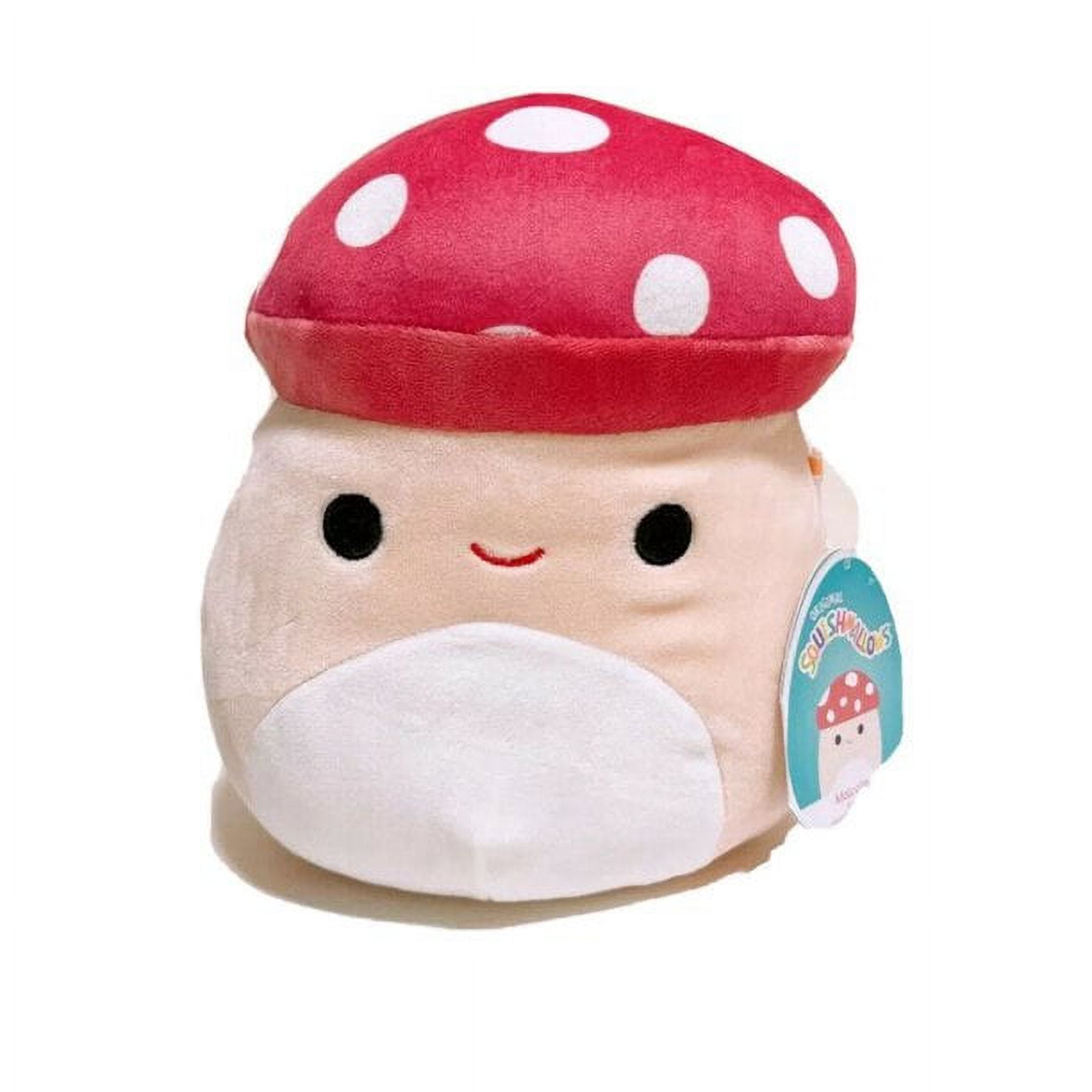  Living on the Veg 14-inch Recycled Material Plush - Darla The  Mushroom - Collectible Stuffed Toy from The Makers of Squishmallows : Toys  & Games