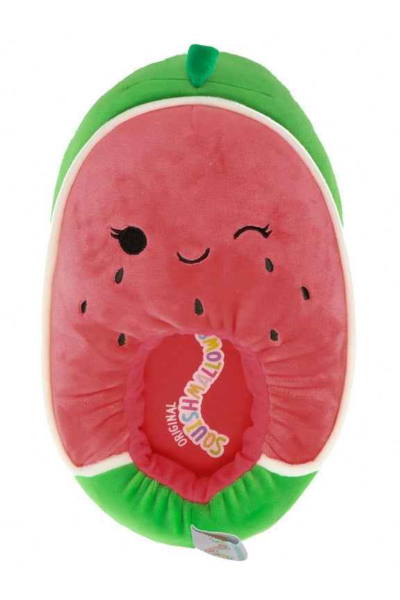 Womens Plush Slippers