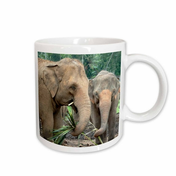 3drose, Sri Lanka, Elephant Orphanage-as33 Cmi0016 - Cindy Miller Hopkins, 11oz Mug