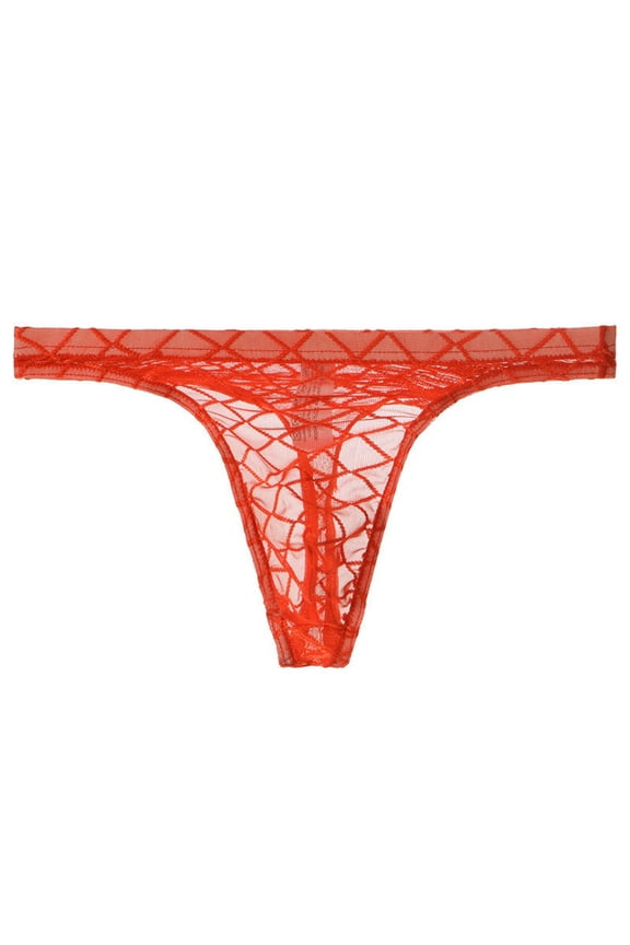 Mesh Sheer Lace Thongs for Women - Lace Trim and Fabric, Comfortable Underwear Sexy T Back Thong Panties