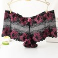 thumbnail image 1 of Srogem Womens Sheer French Knickers Briefs Panties Classic Shorts Retro Chic Low Rise Brief Panty Comfortable Underpants, 1 of 3