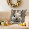 thumbnail image 1 of Sruoe Easter Throw Pillow Covers 18x18Inch Bunny Rabbit Soft Plush Faux Fur, Decorative Throw Pillow Covers, Spring Cute Bunny Pillowcases for Easter Home Living Room Bed Decor, 1 of 7