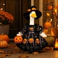 thumbnail image 1 of Sruoe Halloween Porch Goose Outfits with Witch Hat, 23" Porch Goose Clothes for Lawn Yard and Patio Decoration, Lawn Goose Clothing for Cement Goose Lawn Goose Outfit, Garden Goose Costume, 1 of 7