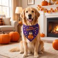 thumbnail image 1 of Sruoe Pet Holiday Triangle Bandana, Purple Owl‑Pumpkin Happy Halloween Print Tie‑On Dog Scarf, Holiday Bib for Dogs & Cats, Halloween Pet Accessory, 1 of 6