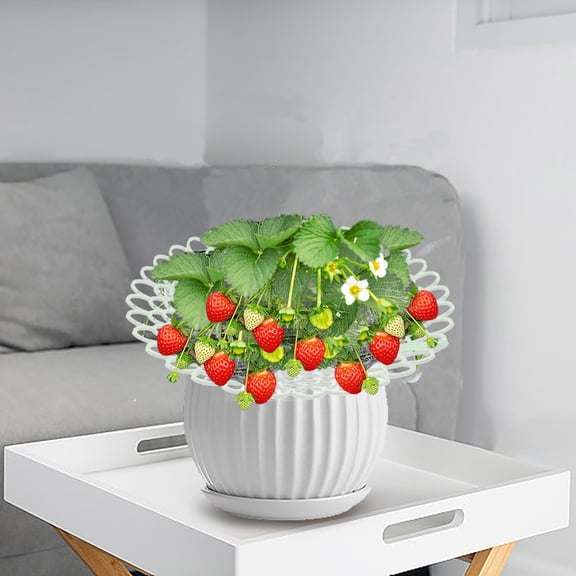 Sruoe Strawberry Supports, 10Pcs Strawberry Stand with 3 Sturdy Legs, Plant Support Rack, Strawberry Planter Rack, Fruit Protection Grid for Potted Strawberry Vegetable Garden Indoor Outdoor