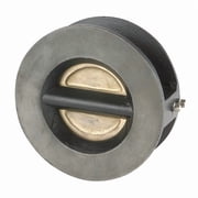 Ssi 3" Wafer Flange Cast Iron Double Disc Check Valve 0300-125WTIBB-T