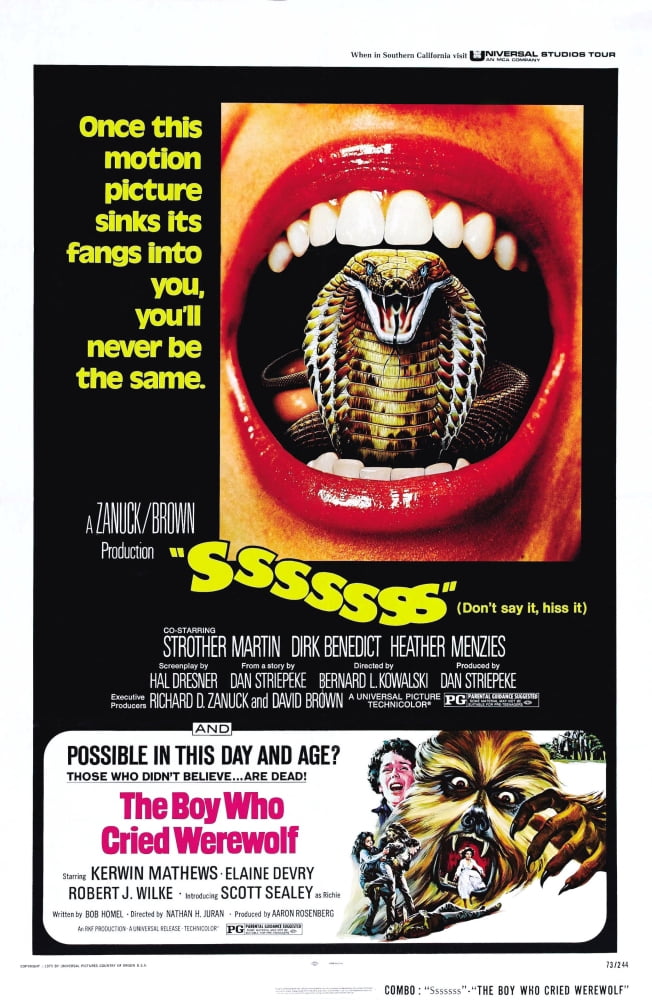 Sssssss Canvas Art -  (11 x 17)