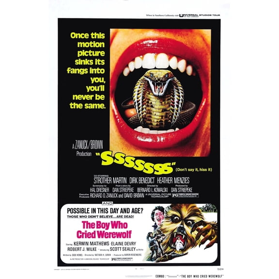 Sssssss Canvas Art - (24 x 36)