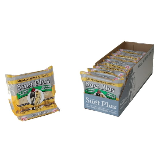 St. Albans Bay Suet Plus Suet Cake 12 Pack for Wild Birds | Mealworm & Nuts, 11 oz each (12 Pack)