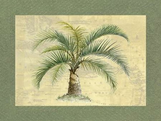 St Andre Canvas Art - Janet Kruskamp (20 x 28)