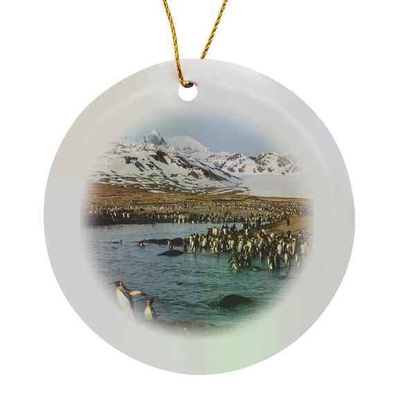 3drose, St. Andrews Bay, South Georgia Island. King Penguins Cross a Stream., Circle Porcelain Ornament