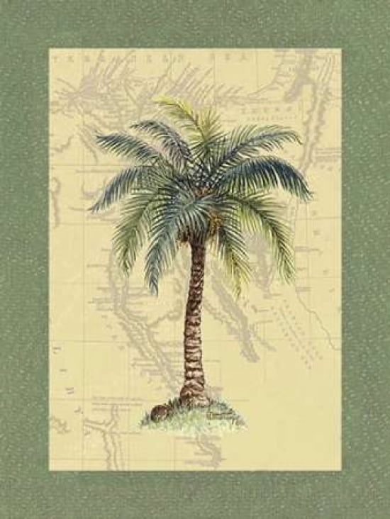 St Augustine Canvas Art - Janet Kruskamp (20 x 28)