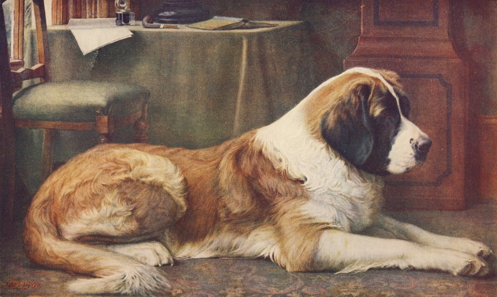 St Bernard Canvas Art - JW Allison (18 x 24)