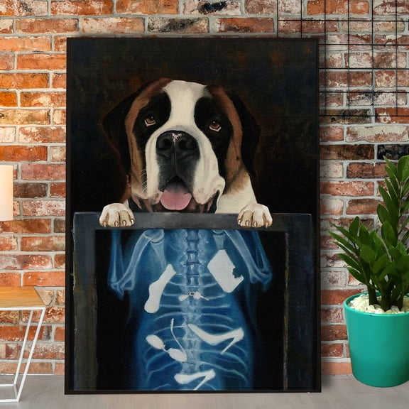 St. Bernard X-Ray Paper Poster No Frame Matte Wall Art Decor 11 x 17 Inch Poster