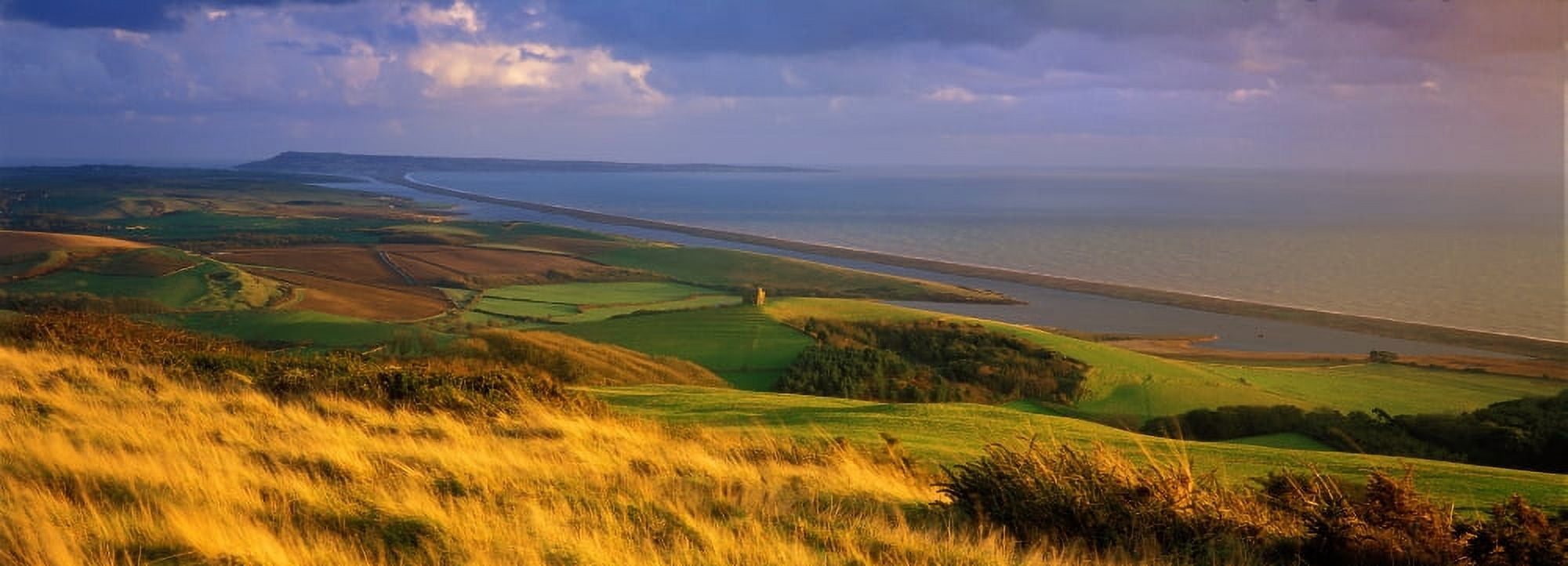 St Catherines Chapel and Abbotsbury Dorset England Canvas Art - Panoramic Images (27 x 9)
