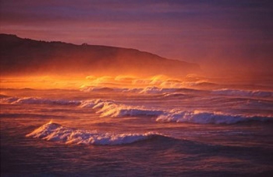 St Clair Beach Dunedin New Zealand Canvas Art - David Wall DanitaDelimont (18 x 12)