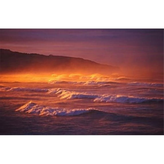 St Clair Beach Dunedin New Zealand Poster Print by David Wall - 37 x 24 in.