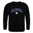 thumbnail image 1 of St. Edwards University Hilltoppers Campus Crewneck Sweatshirt, Black - Medium, 1 of 1