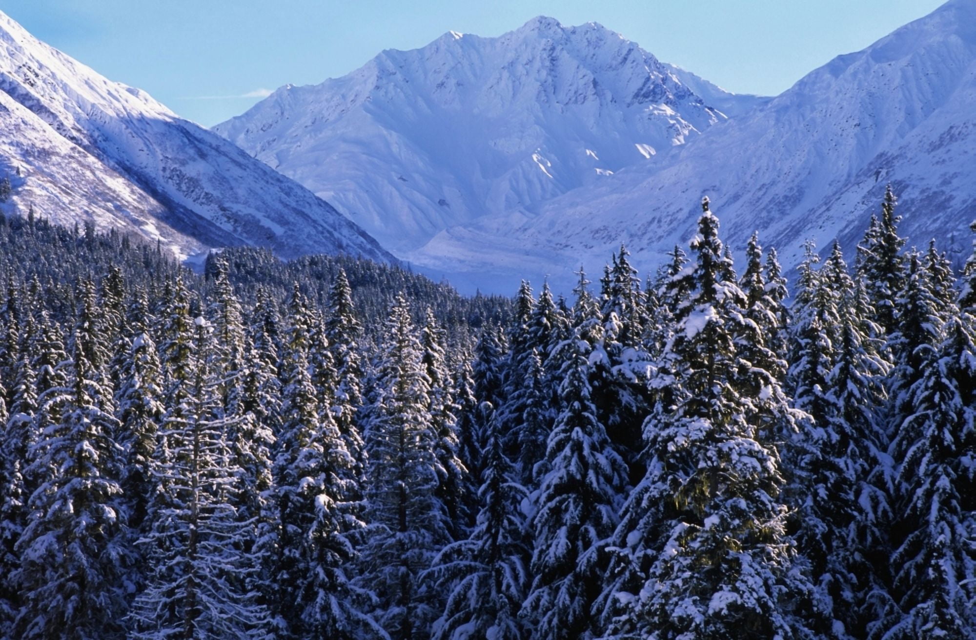 St Elias Mountains British Columbia Canvas Art - Robert Postma Design Pics (18 x 12)
