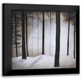 thumbnail image 1 of St.Germain, Patrick 12x12 Black Modern Framed Museum Art Print Titled - Winter Solace, 1 of 5