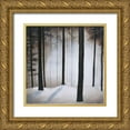 thumbnail image 1 of St.Germain, Patrick 12x12 Gold Ornate Wood Framed with Double Matting Museum Art Print Titled - Winter Solace, 1 of 4