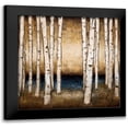 thumbnail image 1 of St.Germain, Patrick 15x15 Black Modern Framed Museum Art Print Titled - Birch Landing, 1 of 5
