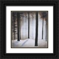 thumbnail image 1 of St.Germain, Patrick 15x15 Black Ornate Wood Framed with Double Matting Museum Art Print Titled - Winter Solace, 1 of 4
